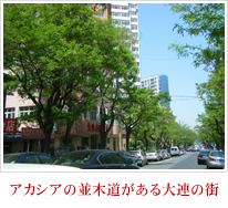 アカシアの並木道がある大連の街