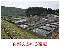 自然あふれる環境