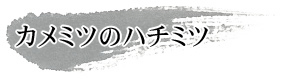 カメミツのハチミツ