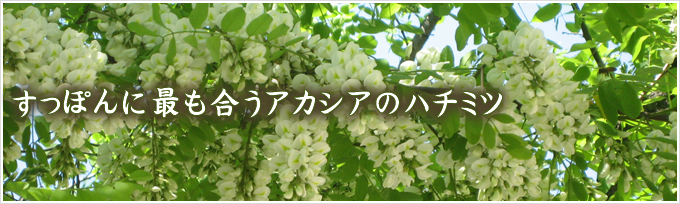 すっぽんに最も合うアカシアのハチミツ