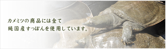 カメミツの商品には全て純国産すっぽんを使用しています。